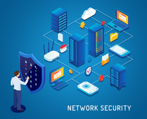 تیم آبی و نقش آن در امنیت شبکه
